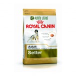 ROYAL CANIN SETTER KG 12